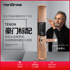亚太天能指纹锁T109家用防盗门指纹密码锁 tenon天能系列智能门锁